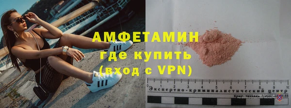 индика Бронницы