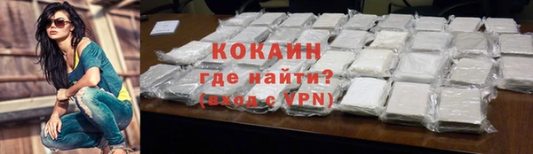 спайс Бородино