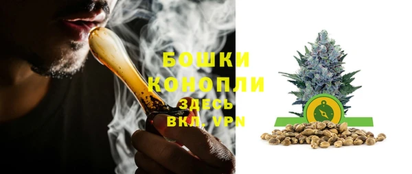 индика Бронницы