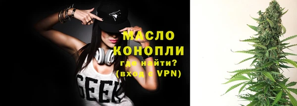 индика Бронницы