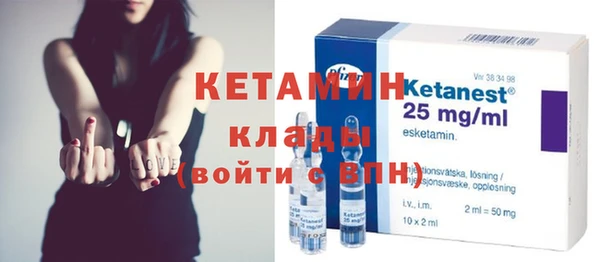 индика Бронницы