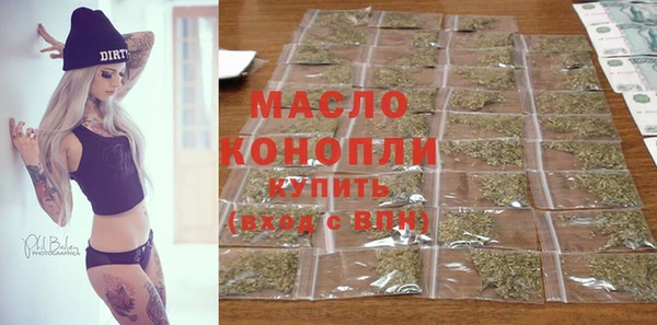 индика Бронницы