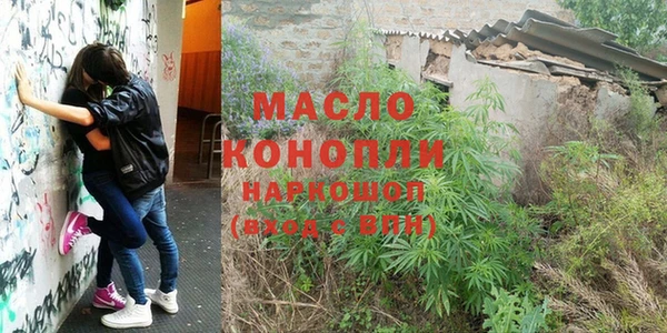 индика Бронницы