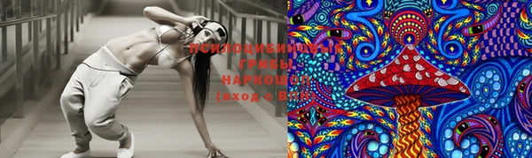 спайс Бородино