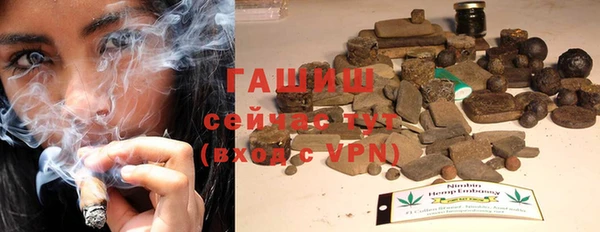 индика Бронницы
