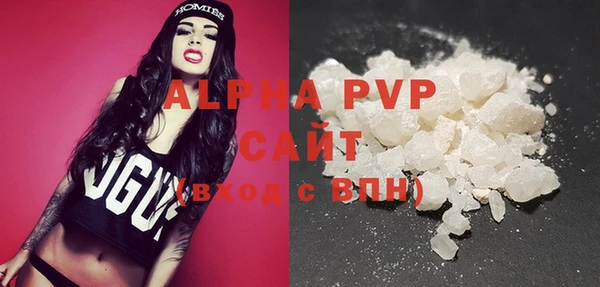 индика Бронницы