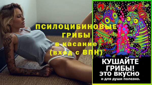 индика Бронницы